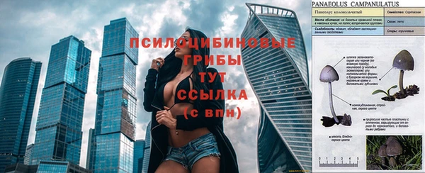 мет Верхний Тагил